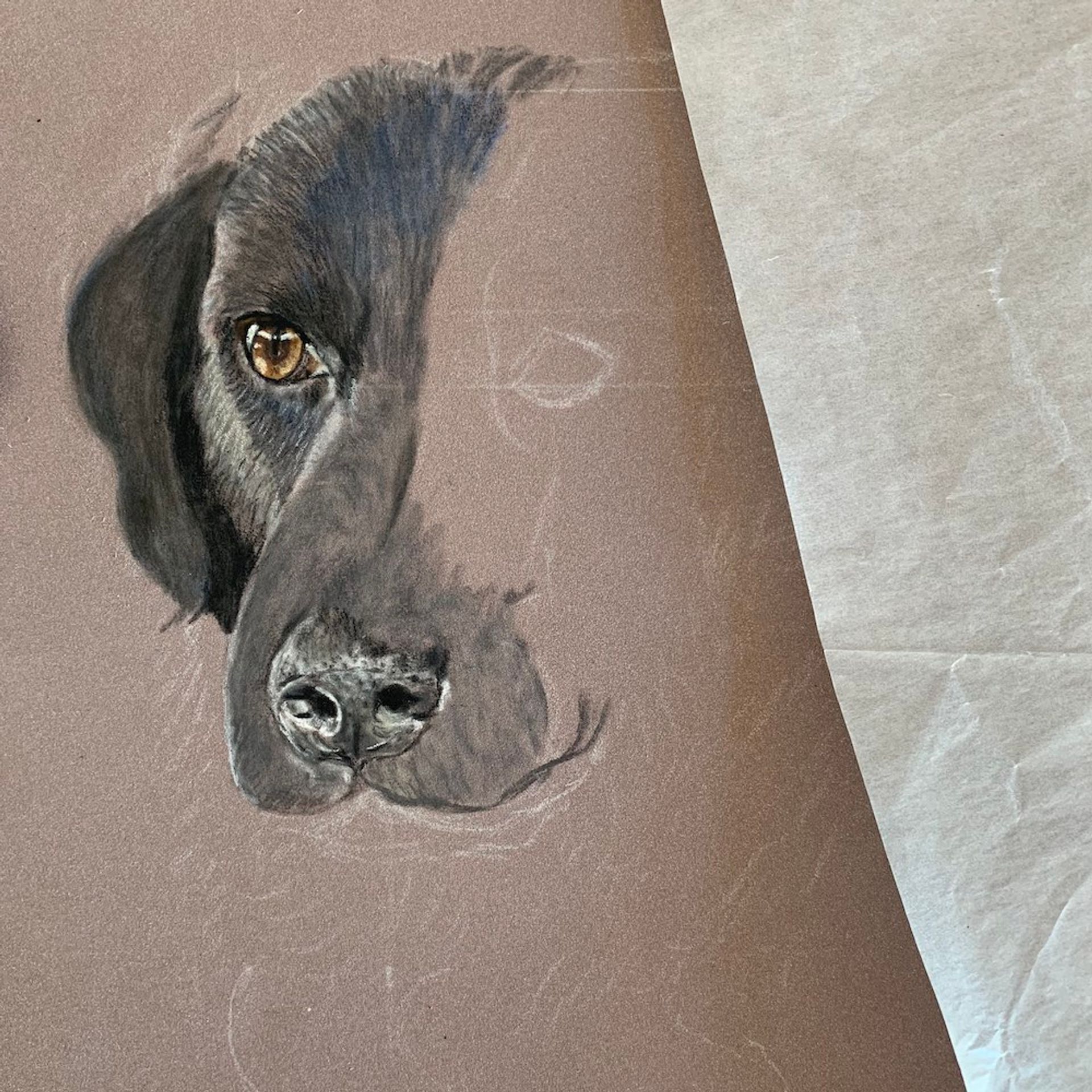 Dierenportretten Mila2